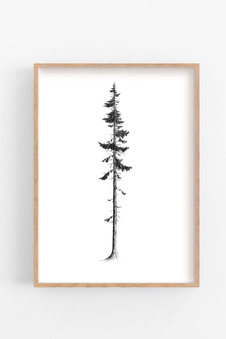 Western Red Cedar Printable // PNW Artwork // West Coast Nature // Coastal Tree Art Printable // BC Nature Art Print image 1