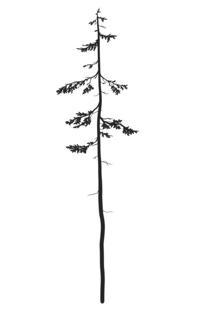 Western Hemlock 8x10 Printable// PNW Digital Poster// West Coast Artwork// Forest Trees Art// Minimalistic Artwork// Van Life Art// Cottage image 4