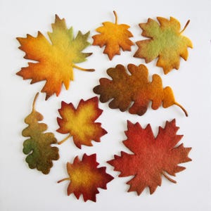 May include: A collection of eight felted wool leaves in various shapes and sizes, featuring a gradient color palette of yellow, orange, red, and green. The assortment includes maple and oak leaf silhouettes with soft, textured surfaces.