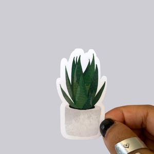 Aloe Vera Plant Waterproof Vinyl Sticker or Magnet | Plant Lover Stickers | Snake Plant in Pot Sticker | Plant Collection Magnets