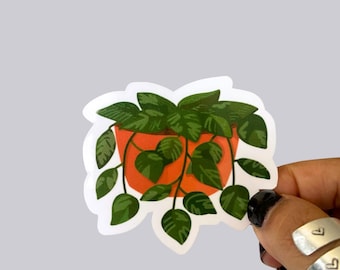 Devils Ivy Golden Pothos Waterproof Sticker Magnet | Waterproof Vinyl Sticker