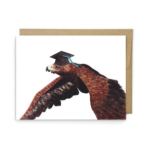 May include: A greeting card featuring a watercolor illustration of a brown hawk in flight, wearing a black graduation cap with a bright blue tassel. The hawk is depicted in profile, with its wings partially spread against a plain white background.