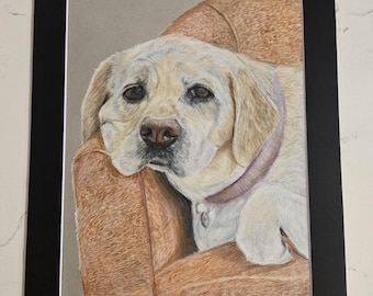 Haustierportrait – Handgezeichnete Buntstiftkunst vom preisgekrönten Teenager | Personalisierte Hund, Katze, Haustier Erinnerungsgeschenk