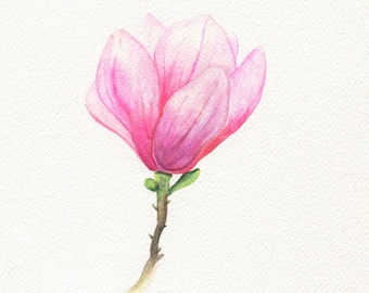 Original magnolia watercolor painting - original flower watercolor painting, small original artwork, gift for mom, botanical illustration