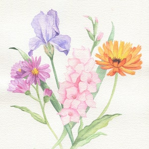 May include: Watercolor painting of a bouquet of flowers. The bouquet includes a purple iris, pink gladiolus, a yellow calendula, and pink asters.