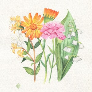 May include: A watercolor painting of a bouquet of flowers, including orange calendula, pink carnations, white lily of the valley, and yellow honeysuckle.