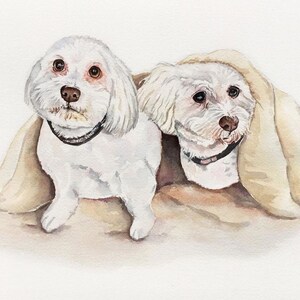 Personalisiertes Aquarell-Porträt mit mehreren Haustieren - 23x30cm Aquarell Haustier Gemälde, Hundeportrait, Katzenportrait, zwei Haustiere benutzerdefinierte Kunstwerk, Haustier-Denkmal