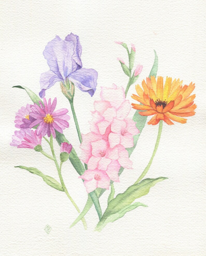 May include: Watercolor painting of a bouquet of flowers. The bouquet includes a purple iris, pink gladiolus, a yellow calendula, and pink asters.