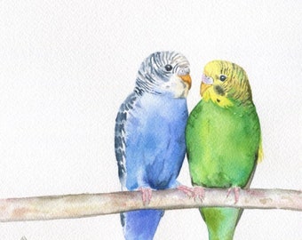 Custom budgie painting - 8x10 original watercolor pet portrait, parakeet painting, bird portrait, parrot portrait