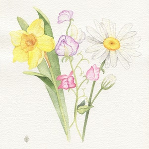 May include: A watercolor painting of a bouquet of flowers. The bouquet includes a yellow daffodil, a white daisy, and pink sweet peas.