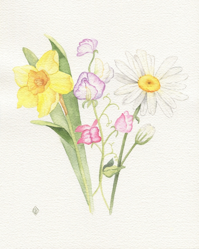 May include: A watercolor painting of a bouquet of flowers. The bouquet includes a yellow daffodil, a white daisy, and pink sweet peas.