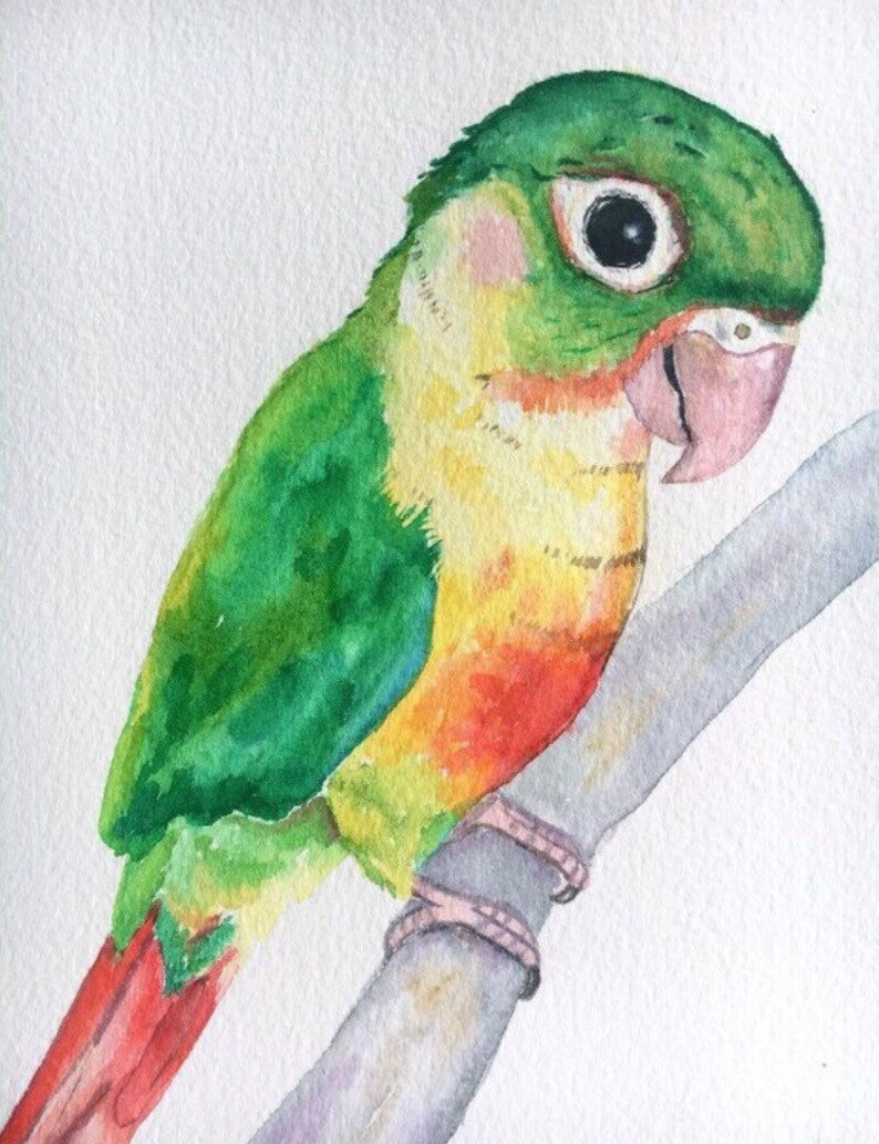 Custom Watercolor Pet Portrait 8x10 Original Watercolor Pet | Etsy