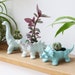 Dinosaur Planter • Triceratops • Diplodocus • Stegosaurus • H6cm/8cm/8.5cm • Succulent Plant Pot • Ceramic Homeware 