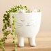 Standing Cat Planter | Lisa Angel 