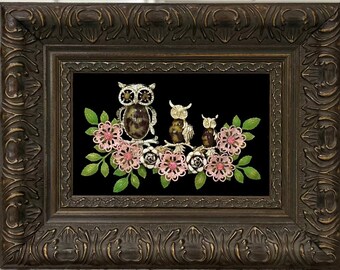 Vintage/ Costume Jewelry Framed Owls with Flower Art