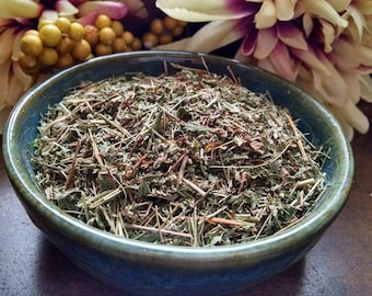 Cinquefoil Five Finger Grass Herb