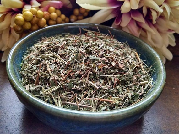 Cinquefoil Five Finger Grass Herb