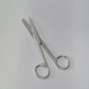 May include: A pair of silver-colored stainless steel scissors with two circular finger loops and straight, pointed blades. The scissors are shown in a partially open position, featuring a central pivot screw and a polished metallic finish throughout.