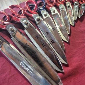 May include: A collection of stainless steel scissors with red and blue handles arranged in a row. The blades feature engraved text including TAMSCO STAINLESS STEEL and 3T QUALITY. The scissors vary in size and are positioned diagonally.