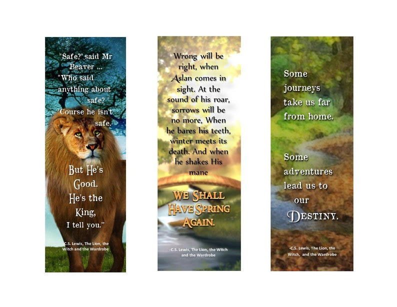 chronicles of narnia the lion the witch and the wardrobe