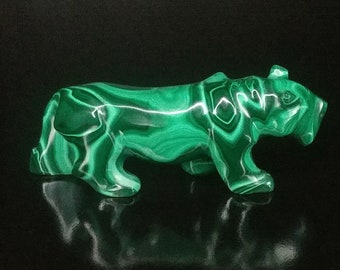 malachite grote kat