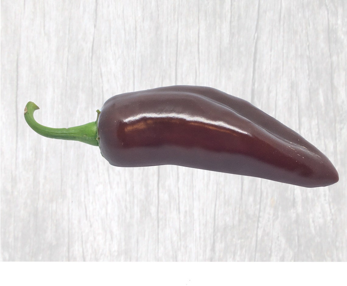 Brown Jalapeno Pepper Seeds 10 Mild Pepper Seeds Jalapeno Etsy