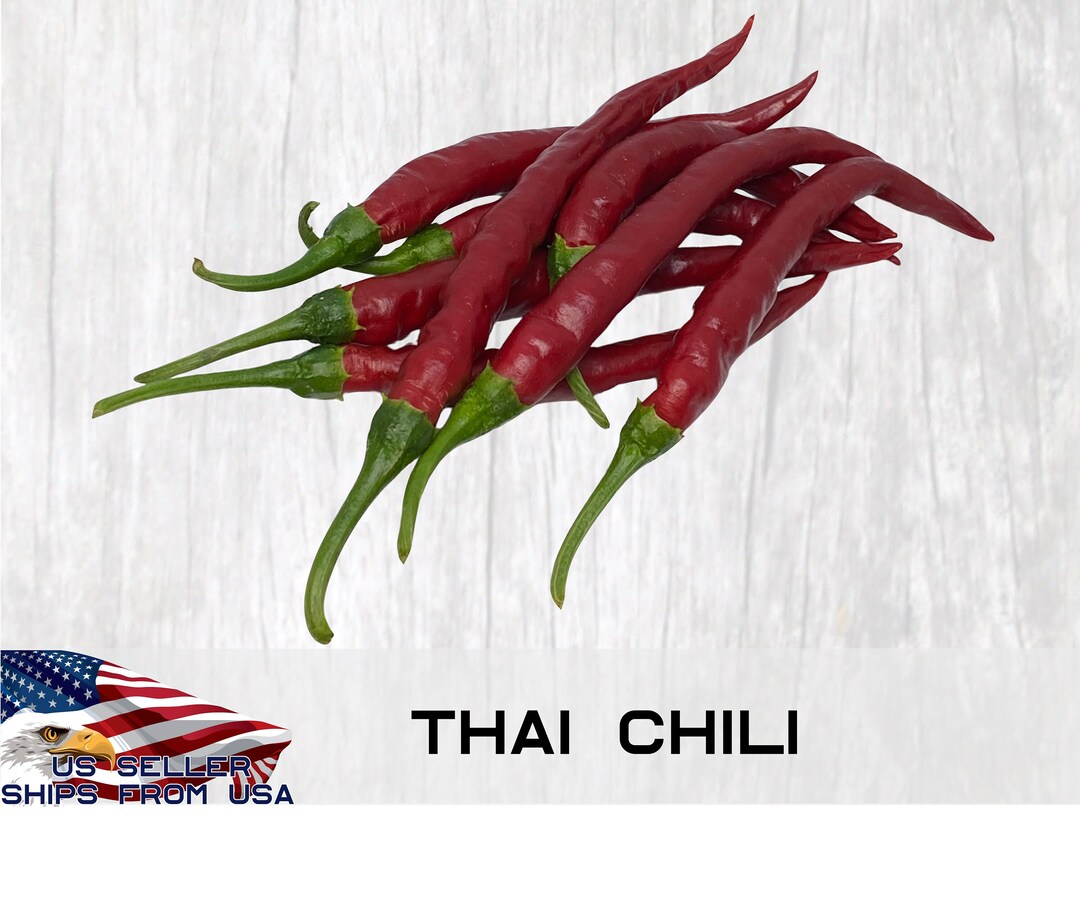 Thai Chili Pepper Seeds 10 Mild Hot Pepper Seeds Hot Etsy