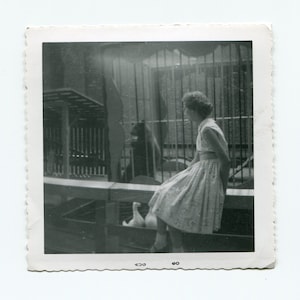 Caged animals, vintage snapshot photo