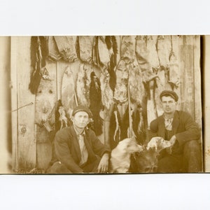 Skunk and raccoon pelts, antique rppc photo