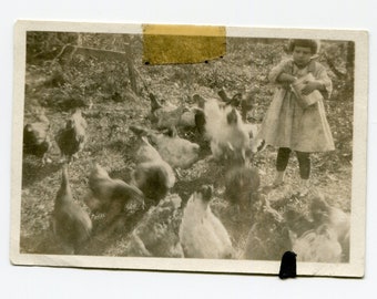 Chicken feed, antique snapshot photo