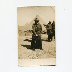 Baby bear, antique rppc photo