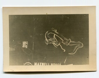 Neon, vintage snapshot photo