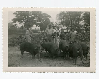 Hog farm. vintage African American snapshot photo