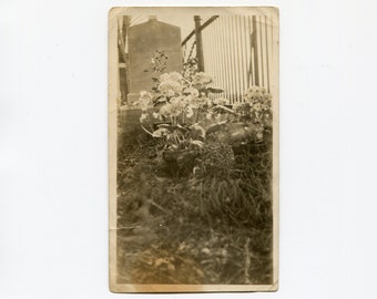 Graveyard flowers, vintage snapshot photo