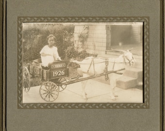 Goat cart, 1926, identified antique folder photo, African American girl