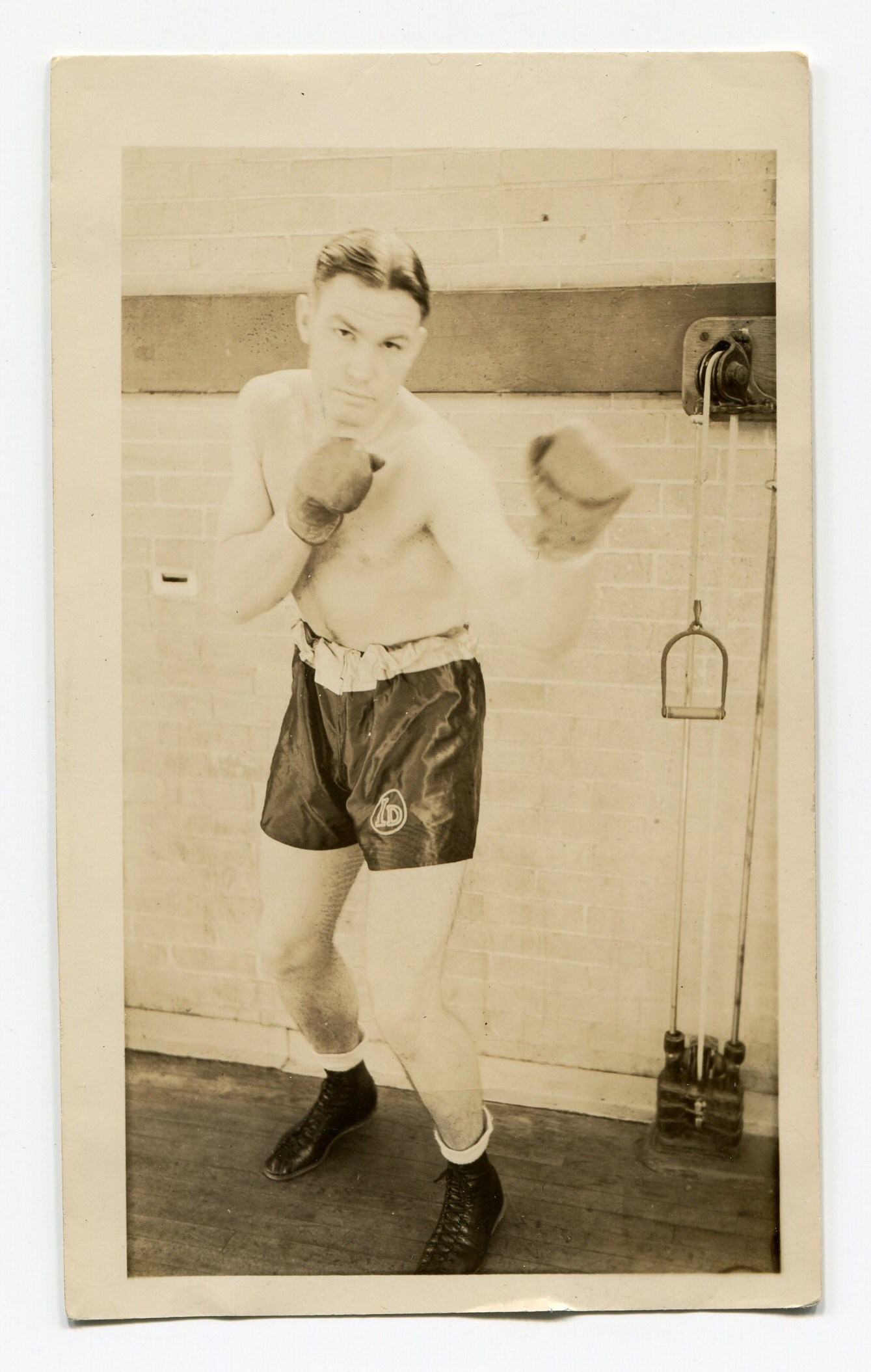 Boxer, Vintage Snapshot Photo - Etsy