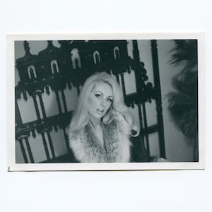 Frosted. vintage snapshot photo