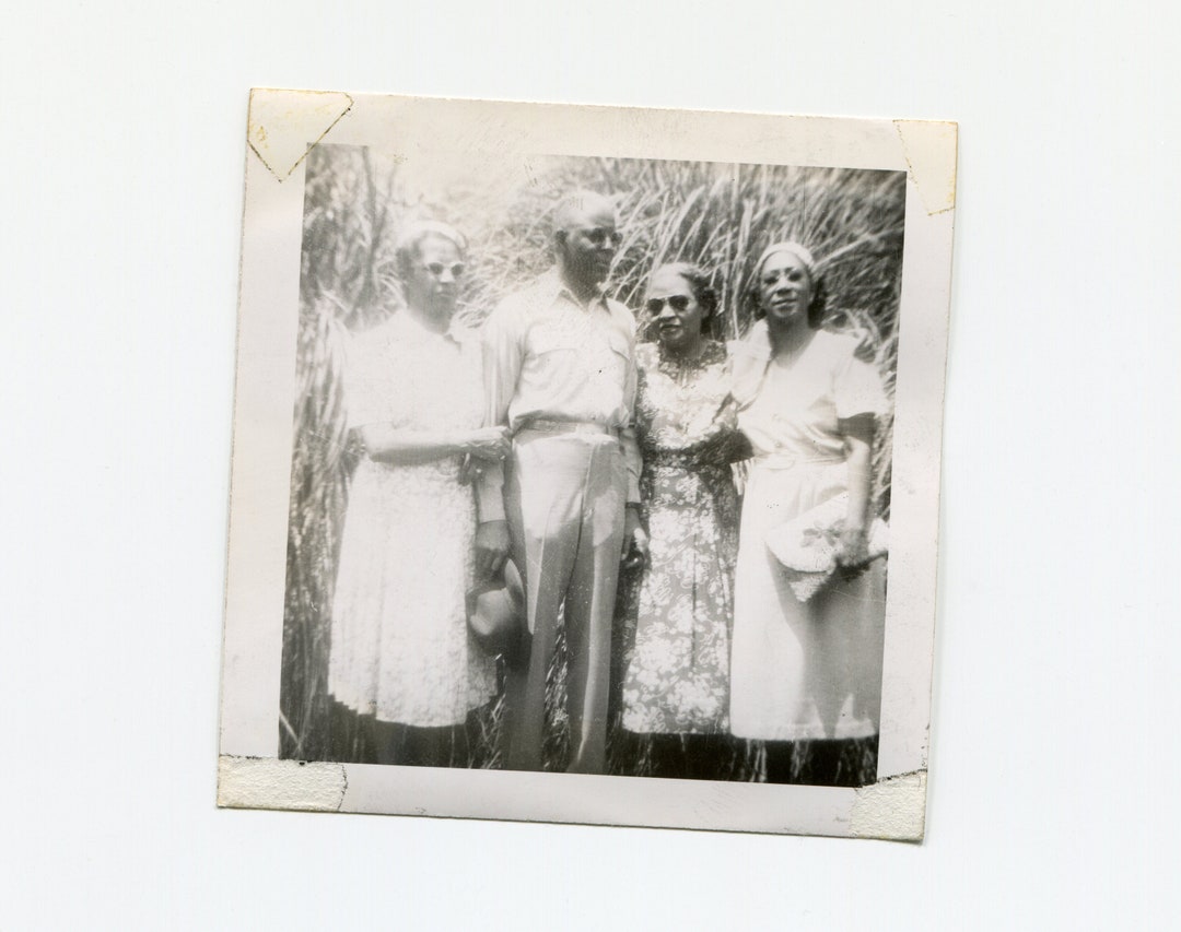 In the Tall Grass, Vintage African American Snapshot Photo - Etsy