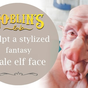 How to Sculpt a fantasy stylized male character face ~ Video, eBook, Template ~ Art Doll Class ~ Art Doll Making Tutorial English