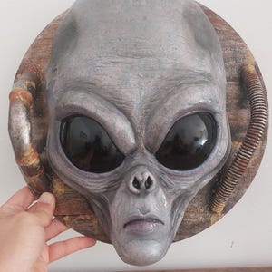 Op de afbeelding: Een grijze alienhoofdsculptuur met grote zwarte ogen, gemonteerd op een cirkelvormige houten plaat. De alien heeft een glad, getextureerd oppervlak en is omgeven door metalen buizen. Een uniek kunstwerk.