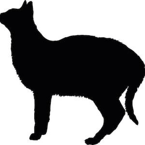 Sticker Gatto. Per vetri, automobili, laptop.