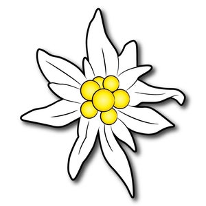 SET 3x Decal vinyl Sticker "Edelweiss". Car, window, bumper, laptop.