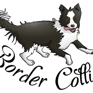 Magnet Border Collie dog