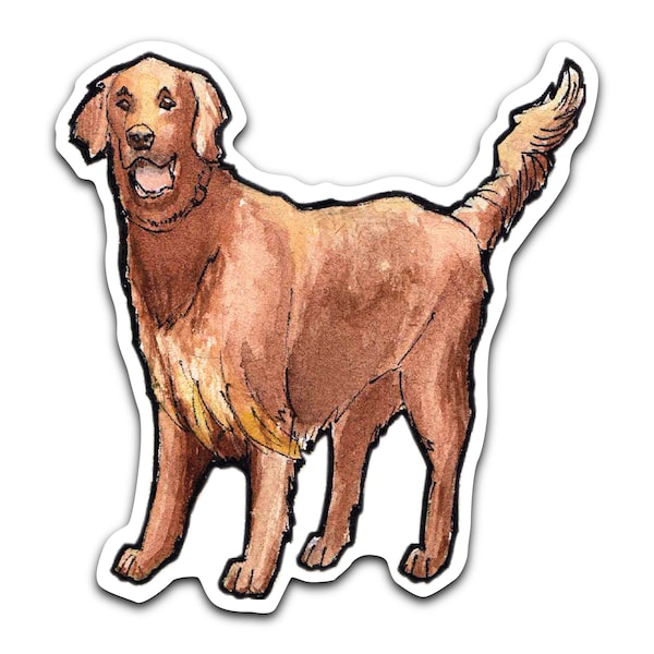 Sticker "Retriever". Vari colori (Brown, White, Black, Golden) Per vetri, automobili, laptop.