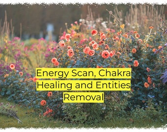 Energy Scan, Chakra Healing and Entities Removal