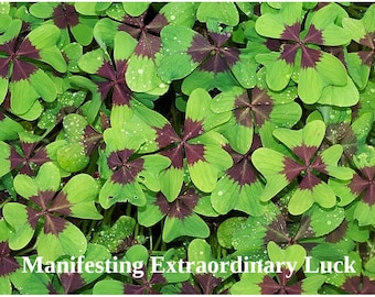 Manifesting Extraordinary Luck MP3 and AT