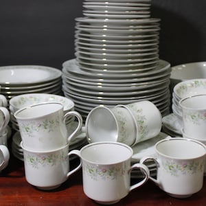 87 Piece  Johann Haviland  &quot;Forever Spring&quot;  Dinner Service  |   Floral Rim & Center, Platinum Trim  SUPERB CONDITION Low Shipping