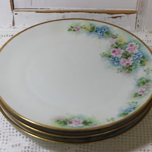 A set of 3 Thomas  Bavaria - Hand painted Plates, Vintage Set from the early 20th Century.  Wonderful Condition