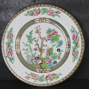 Coalport Indian Tree 7 3/4&quot; Salad Plate. Beautiful English  Plate, Indian Tree Pattern,