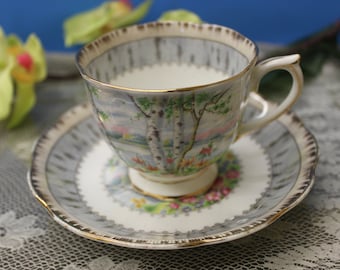 Royal Albert Silver Birch Teacup and Saucer Set